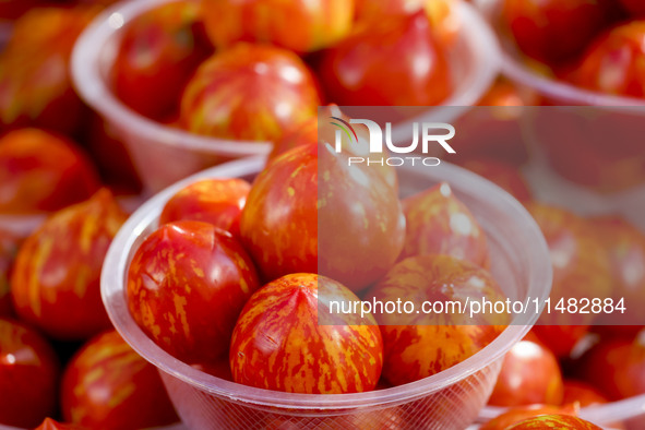 Customers are shopping at a fruit market next to Manzhouli Zhongsu Pedestrian Street in Hohhot, Inner Mongolia, China, on August 15, 2024. 