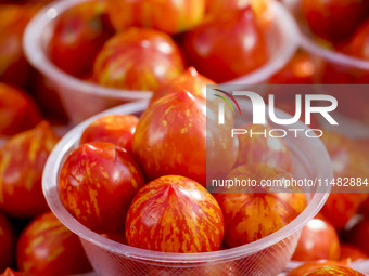 Customers are shopping at a fruit market next to Manzhouli Zhongsu Pedestrian Street in Hohhot, Inner Mongolia, China, on August 15, 2024. (