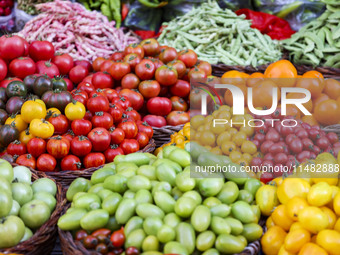 Customers are shopping at a fruit market next to Manzhouli Zhongsu Pedestrian Street in Hohhot, Inner Mongolia, China, on August 15, 2024. (