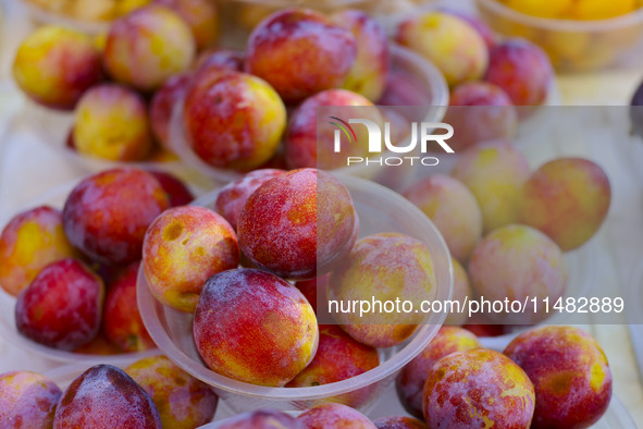 Customers are shopping at a fruit market next to Manzhouli Zhongsu Pedestrian Street in Hohhot, Inner Mongolia, China, on August 15, 2024. 