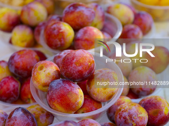 Customers are shopping at a fruit market next to Manzhouli Zhongsu Pedestrian Street in Hohhot, Inner Mongolia, China, on August 15, 2024. (