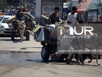 Palestinians are fleeing with their belongings in Deir el-Balah, in the central Gaza Strip, on August 16, 2024, amid the ongoing conflict be...