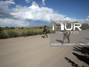 Servicemen of the Motorised Rifle Battalion of the 93rd Kholodnyi Yar Separate Mechanized Brigade of the Ukrainian Armed Forces are walking...