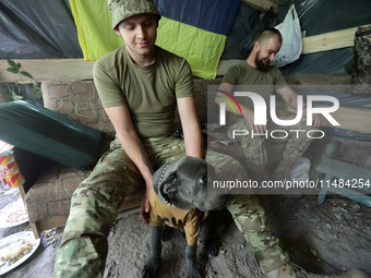 A serviceman of the Motorised Rifle Battalion of the 93rd Kholodnyi Yar Separate Mechanized Brigade of the Ukrainian Armed Forces is petting...