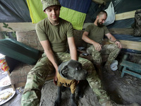 A serviceman of the Motorised Rifle Battalion of the 93rd Kholodnyi Yar Separate Mechanized Brigade of the Ukrainian Armed Forces is petting...