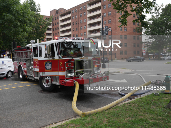 The Washington DC fire department is rescuing a dog and a puppy from a fire. Eight dogs are being taken from the fire, with two requiring me...