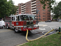 The Washington DC fire department is rescuing a dog and a puppy from a fire. Eight dogs are being taken from the fire, with two requiring me...