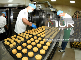 A worker is producing mooncakes at a food workshop in Hai'an, Jiangsu province, China, on August 16, 2024. (