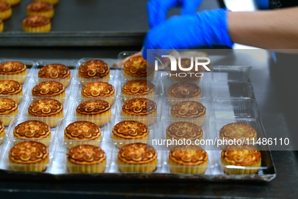 A worker is producing mooncakes at a food workshop in Hai'an, Jiangsu province, China, on August 16, 2024. 