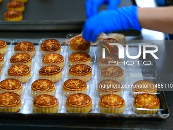 A worker is producing mooncakes at a food workshop in Hai'an, Jiangsu province, China, on August 16, 2024. (