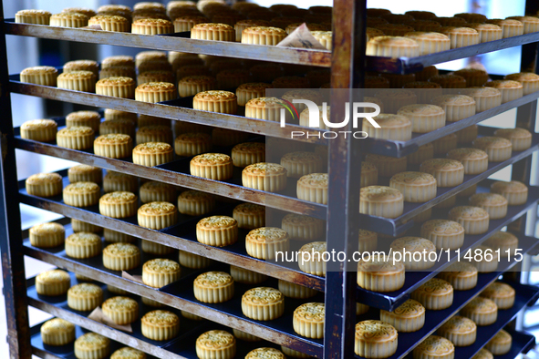 A worker is producing mooncakes at a food workshop in Hai'an, Jiangsu province, China, on August 16, 2024. 