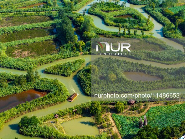 Tourists are riding boats through the Hongze Lake wetland maze in Huai 'an city, Jiangsu province, China, on August 17, 2024. 