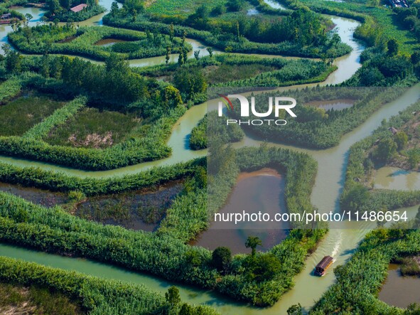 Tourists are riding boats through the Hongze Lake wetland maze in Huai 'an city, Jiangsu province, China, on August 17, 2024. 