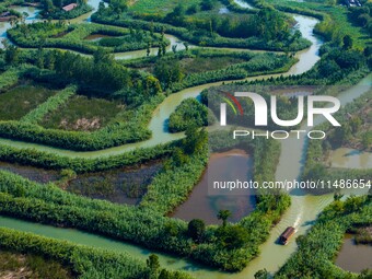 Tourists are riding boats through the Hongze Lake wetland maze in Huai 'an city, Jiangsu province, China, on August 17, 2024. (