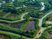 Tourists are riding boats through the Hongze Lake wetland maze in Huai 'an city, Jiangsu province, China, on August 17, 2024. (