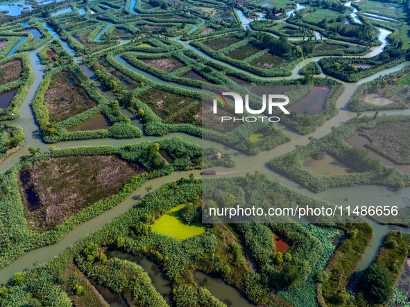 Tourists are riding boats through the Hongze Lake wetland maze in Huai 'an city, Jiangsu province, China, on August 17, 2024. 