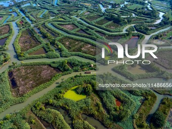 Tourists are riding boats through the Hongze Lake wetland maze in Huai 'an city, Jiangsu province, China, on August 17, 2024. (