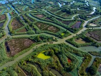 Tourists are riding boats through the Hongze Lake wetland maze in Huai 'an city, Jiangsu province, China, on August 17, 2024. (