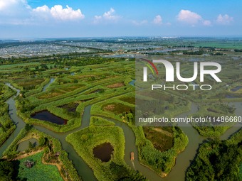 Tourists are riding boats through the Hongze Lake wetland maze in Huai 'an city, Jiangsu province, China, on August 17, 2024. (