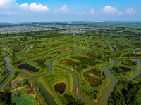 Tourists are riding boats through the Hongze Lake wetland maze in Huai 'an city, Jiangsu province, China, on August 17, 2024. (