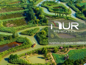 Tourists are riding boats through the Hongze Lake wetland maze in Huai 'an city, Jiangsu province, China, on August 17, 2024. (