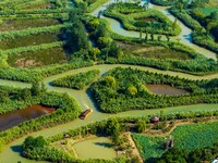 Tourists are riding boats through the Hongze Lake wetland maze in Huai 'an city, Jiangsu province, China, on August 17, 2024. (