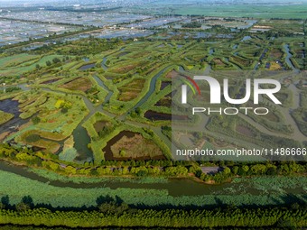 Tourists are riding boats through the Hongze Lake wetland maze in Huai 'an city, Jiangsu province, China, on August 17, 2024. (