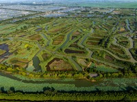 Tourists are riding boats through the Hongze Lake wetland maze in Huai 'an city, Jiangsu province, China, on August 17, 2024. (