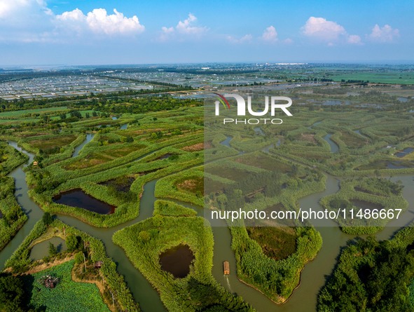 Tourists are riding boats through the Hongze Lake wetland maze in Huai 'an city, Jiangsu province, China, on August 17, 2024. 