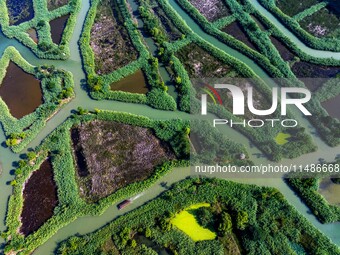 Tourists are riding boats through the Hongze Lake wetland maze in Huai 'an city, Jiangsu province, China, on August 17, 2024. (