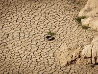 The Ulldecona reservoir in southern Catalonia, 2 hours from Barcelona, is being well below 1% of its water capacity. Despite the rains of re...