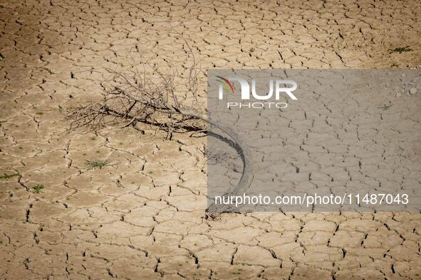 The Ulldecona reservoir in southern Catalonia, 2 hours from Barcelona, is being well below 1% of its water capacity. Despite the rains of re...