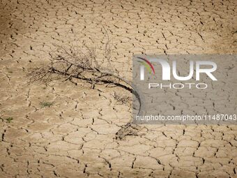 The Ulldecona reservoir in southern Catalonia, 2 hours from Barcelona, is being well below 1% of its water capacity. Despite the rains of re...