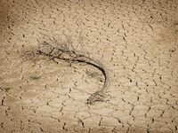 The Ulldecona reservoir in southern Catalonia, 2 hours from Barcelona, is being well below 1% of its water capacity. Despite the rains of re...