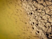 The Ulldecona reservoir in southern Catalonia, 2 hours from Barcelona, is being well below 1% of its water capacity. Despite the rains of re...