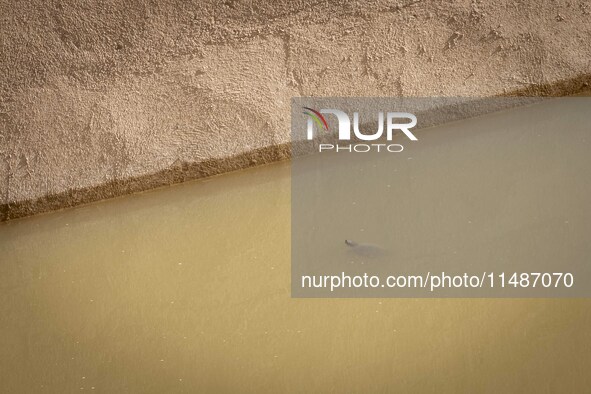 The Ulldecona reservoir in southern Catalonia, 2 hours from Barcelona, is being well below 1% of its water capacity. Despite the rains of re...