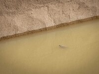 The Ulldecona reservoir in southern Catalonia, 2 hours from Barcelona, is being well below 1% of its water capacity. Despite the rains of re...