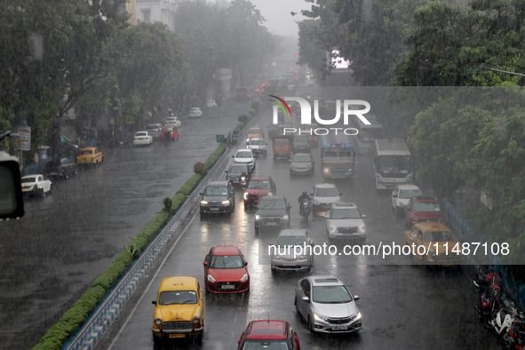 Vesicles are slowly moving following heavy monsoon rains in Kolkata, West Bengal, India, on August 17, 2024. 