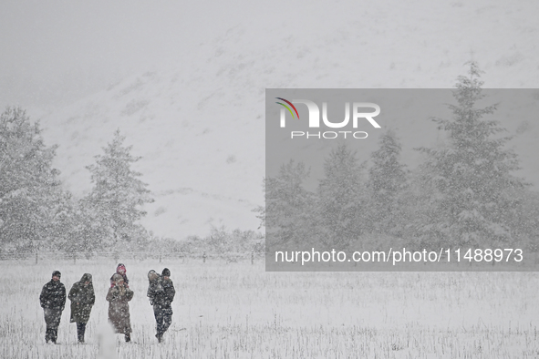 People are walking through a farm during heavy snowfall in Springfield, in the Selwyn District of Canterbury, in the South Island, New Zeala...