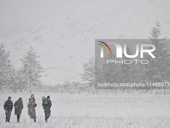 People are walking through a farm during heavy snowfall in Springfield, in the Selwyn District of Canterbury, in the South Island, New Zeala...