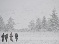 People are walking through a farm during heavy snowfall in Springfield, in the Selwyn District of Canterbury, in the South Island, New Zeala...