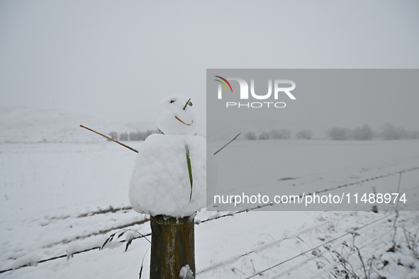 A snowman is being seen on a farm fence during heavy snowfall in Springfield, in the Selwyn District of Canterbury, in the South Island, New...