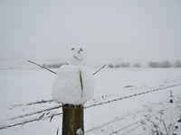 A snowman is being seen on a farm fence during heavy snowfall in Springfield, in the Selwyn District of Canterbury, in the South Island, New...