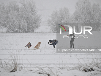 A couple is taking pictures of their dogs during heavy snowfall in Springfield, in the Selwyn District of Canterbury, in the South Island, N...