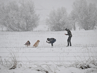 A couple is taking pictures of their dogs during heavy snowfall in Springfield, in the Selwyn District of Canterbury, in the South Island, N...