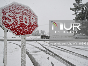 A snow-covered road and a railway track are being seen during heavy snowfall in Springfield, in the Selwyn District of Canterbury, in the So...