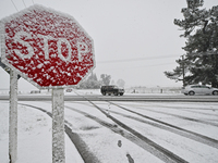 A snow-covered road and a railway track are being seen during heavy snowfall in Springfield, in the Selwyn District of Canterbury, in the So...