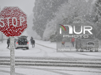 A road sign is being covered with snow during heavy snowfall in Springfield, in the Selwyn District of Canterbury, in the South Island, New...