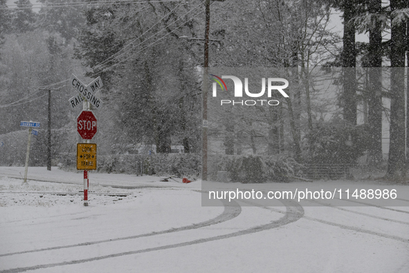 A snow-covered road is being seen during heavy snowfall in Springfield, in the Selwyn District of Canterbury, in the South Island, New Zeala...