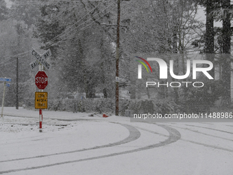 A snow-covered road is being seen during heavy snowfall in Springfield, in the Selwyn District of Canterbury, in the South Island, New Zeala...